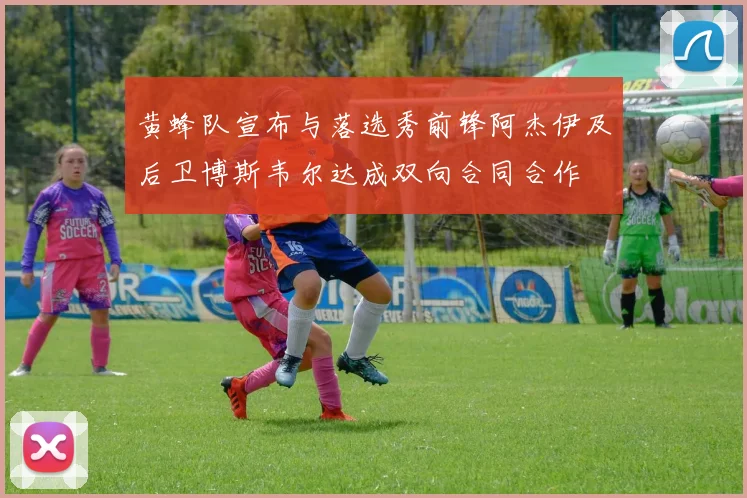 黄蜂队宣布与落选秀前锋阿杰伊及后卫博斯韦尔达成双向合同合作