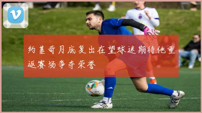 约基奇月底复出在望球迷期待他重返赛场争夺荣誉