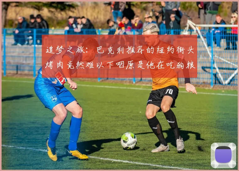 追梦之旅：巴克利推荐的纽约街头烤肉竟然难以下咽原是他在吃狗粮